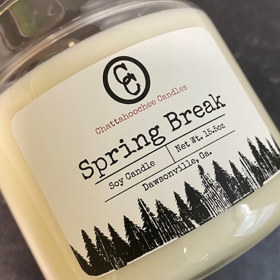 Spring Break- 3 Wick Scented Soy Candle | 15.5oz