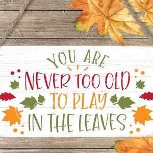 May include: A rectangular wooden sign with the text "YOU ARE NEVER TOO OLD TO PLAY IN THE LEAVES" in green, red, and orange. The sign has a white background with decorative leaves and a jute rope for hanging.