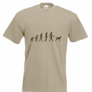 May include: A beige t-shirt with a brown graphic of the evolution of man, ending with a man walking a dog on a leash.