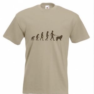 Evolution To Newfoundland t-shirt Funny Dog T-shirt in sizes Sm to 2XXL