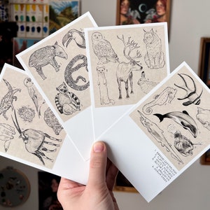 Conjunto de cartões postais - Esboços de animais - Pacote de 4 - 4x6"