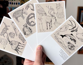 Postcard Set - Animal Sketches - Pack of 4 - 4x6"