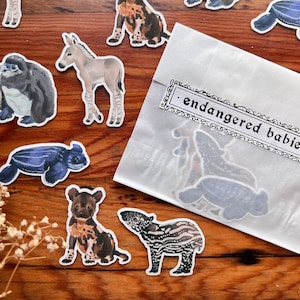 Endangered Babies Sticker Pack - Matte Vinyl - Leatherback Sea Turtle, Somali Wild Donkey, African Painted Dog, African Penguin, & Tapir