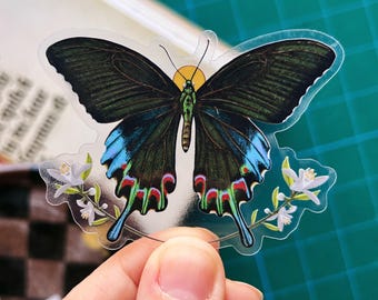 Butterfly Clear Vinyl Sticker - Endangered Luzon Peacock Swallowtail with Citrus Flower