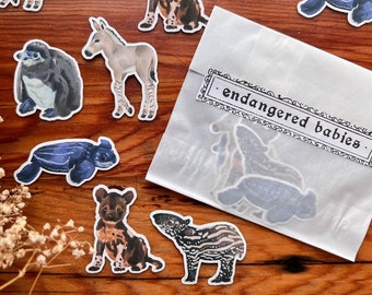 Endangered Babies Sticker Pack - Matte Vinyl - Leatherback Sea Turtle, Somali Wild Donkey, African Painted Dog, African Penguin, & Tapir