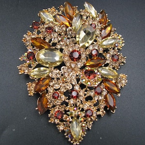 May include: A large, ornate brooch with a gold-tone metal base. The brooch is covered in a variety of gemstones in shades of amber, brown, and clear, with a central cluster of red stones. The design is intricate and detailed.