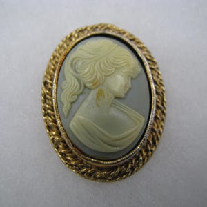 May include: Oval cameo brooch featuring a profile of a woman with flowing hair, set against a gray background. The cameo is framed by a gold-colored, rope-textured border. A classic piece of jewelry.
