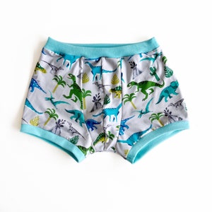May include: Blue and white boxer shorts with a dinosaur print. The fabric has a light blue trim.