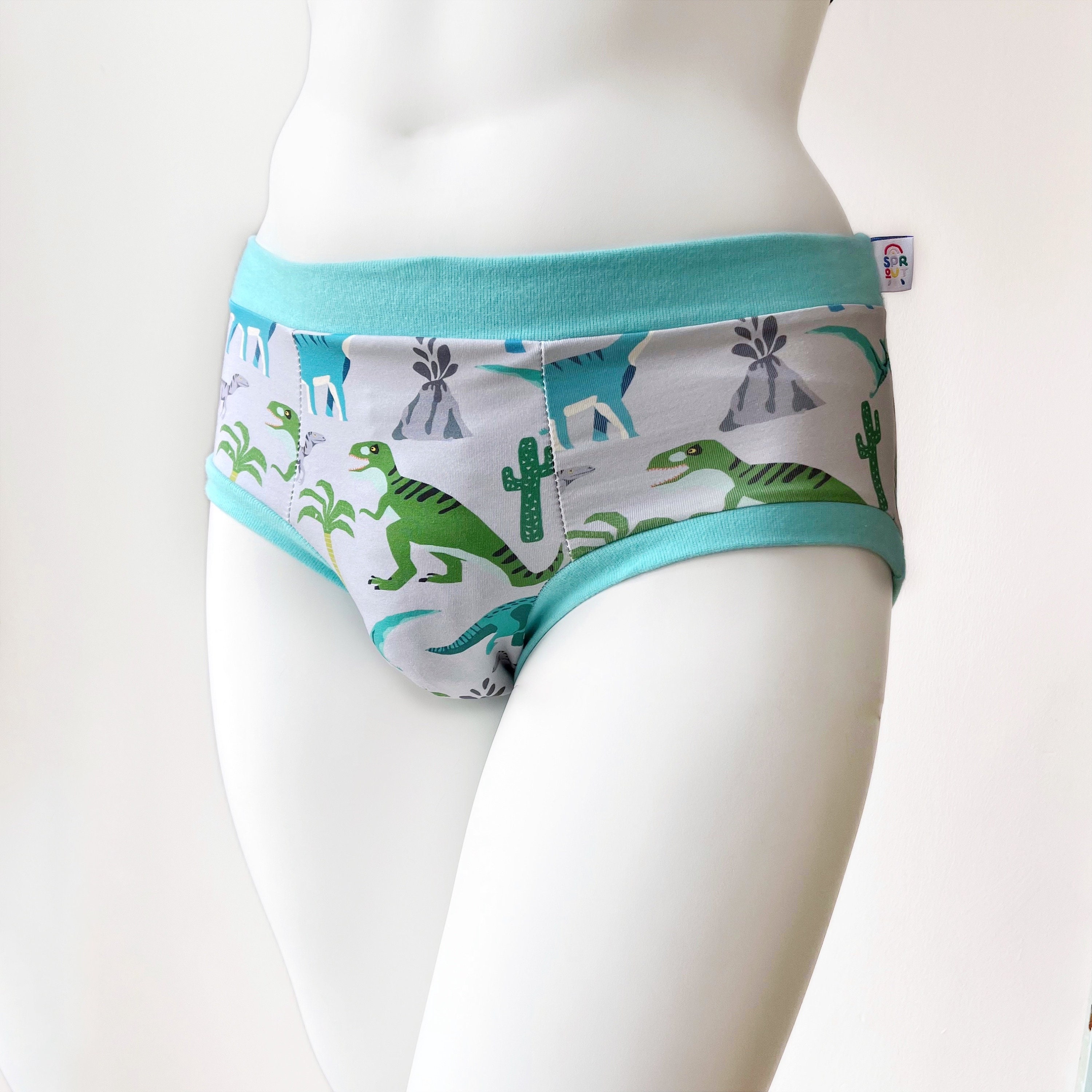 Disney Pixar Little Boys Animation Classic Briefs Underwear 2 Pairs Size 4