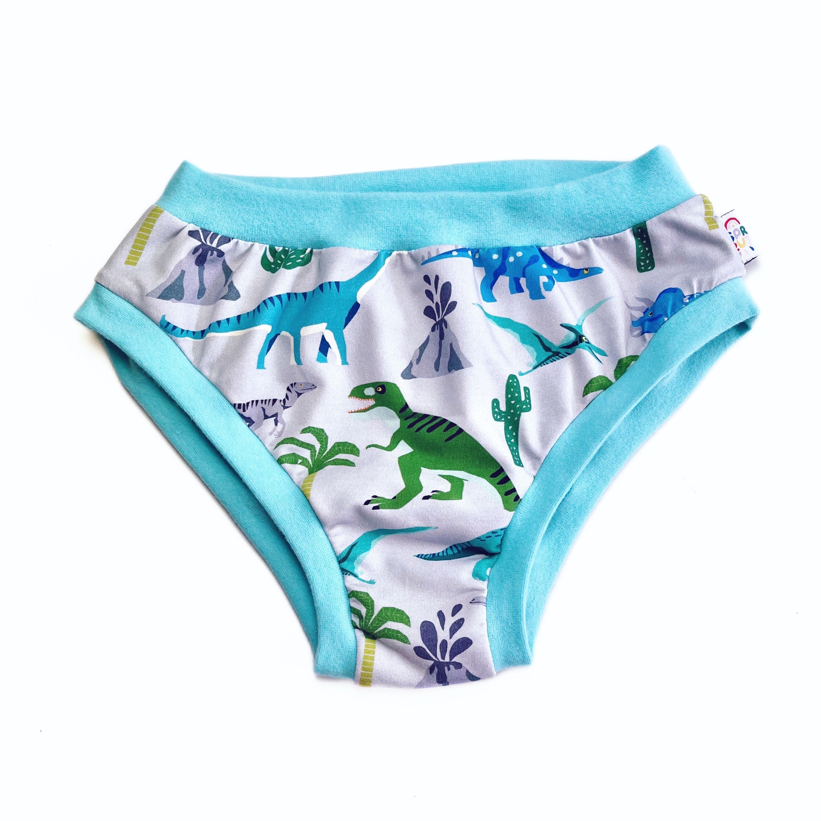 Penguin in the Desert Women's Briefs, Penguin Underwear, Penguin Panties,  Gift for Her, Women's Underwear, Cute Underwear 