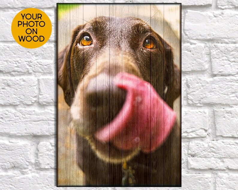 etsy gifts for dog lovers