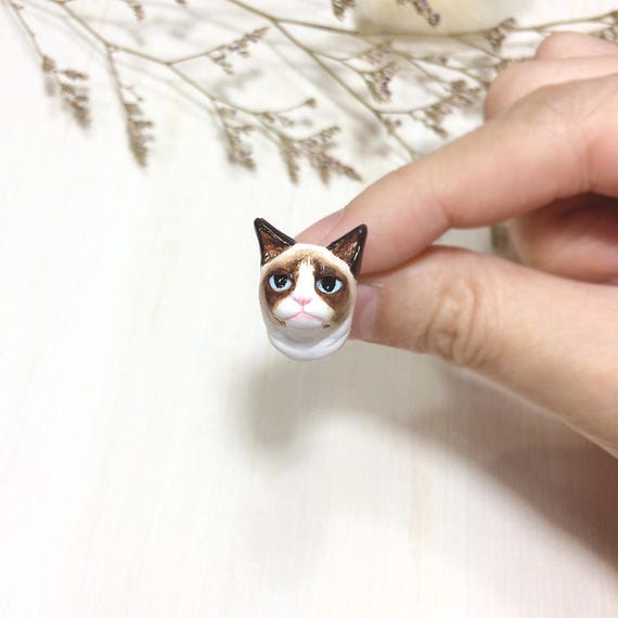 Pin on animal grumpy