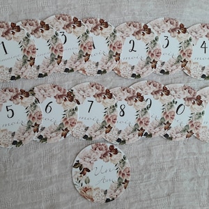 15 CARTES-ÉTAPES RONDES/évolution de bébé/cartes-étapes florales pour bébé