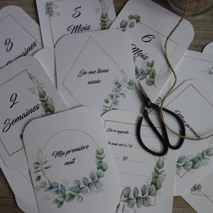 CARTES-ÉTAPES et premières fois de bébé, unisexe, accessoire pour photographier, évolution bébé