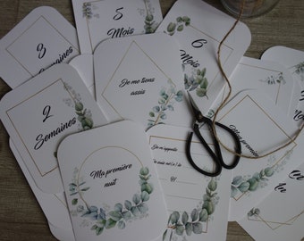 STAPKAARTEN en baby's eerste keren, unisex, fotografieaccessoire, babyontwikkeling