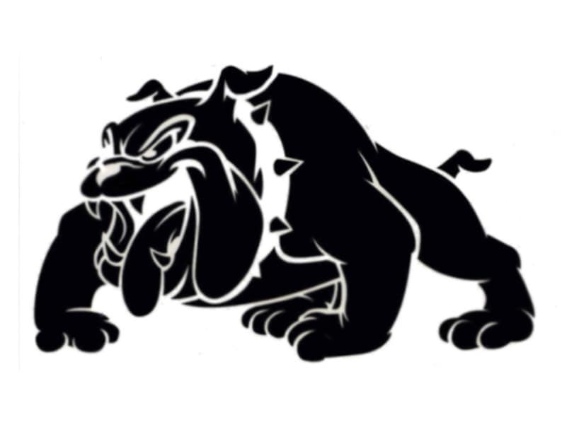 bulldog dog custom stencil fast free shipping etsy