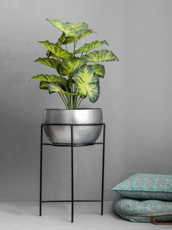 Silver plant sale stand
