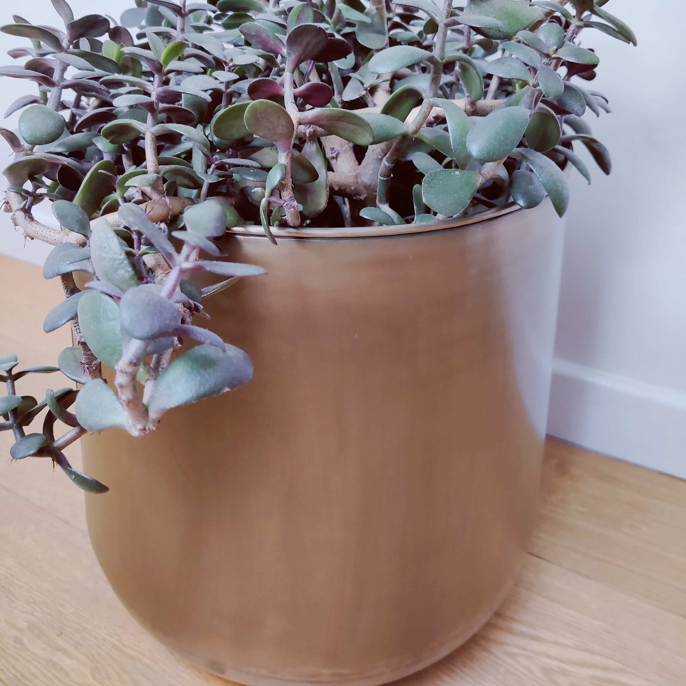 Supersize Large Metal Plant Pot 30x38cm or 40x48cm / Large Etsy UK