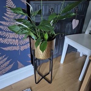 Indoor Golden Plant Pot with Stand/ Golden Plant Holder with Stand/ Gift For New Home / Gift for Plant Lover/ Plant Stand with Pot