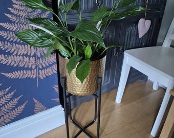 Indoor Golden Plant Pot with Stand/ Golden Plant Holder with Stand/ Gift For New Home / Gift for Plant Lover/ Plant Stand with Pot