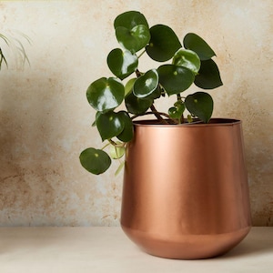 Tamra Kupfer Blumentopf | Eleganter Kupfer Boden-Blumentopf | Kupfer Tamra Blumentopf | Kupfer Tamra Übertopf | Moderne Kupfer Wohnkultur