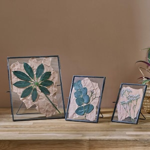 Puede incluir: Tres marcos de vidrio con arte botánico. Cada marco tiene un borde de metal negro y un soporte. El arte presenta hojas y flores prensadas sobre papel texturizado, mostrando tonos de verde y blanco sobre un fondo marrón.