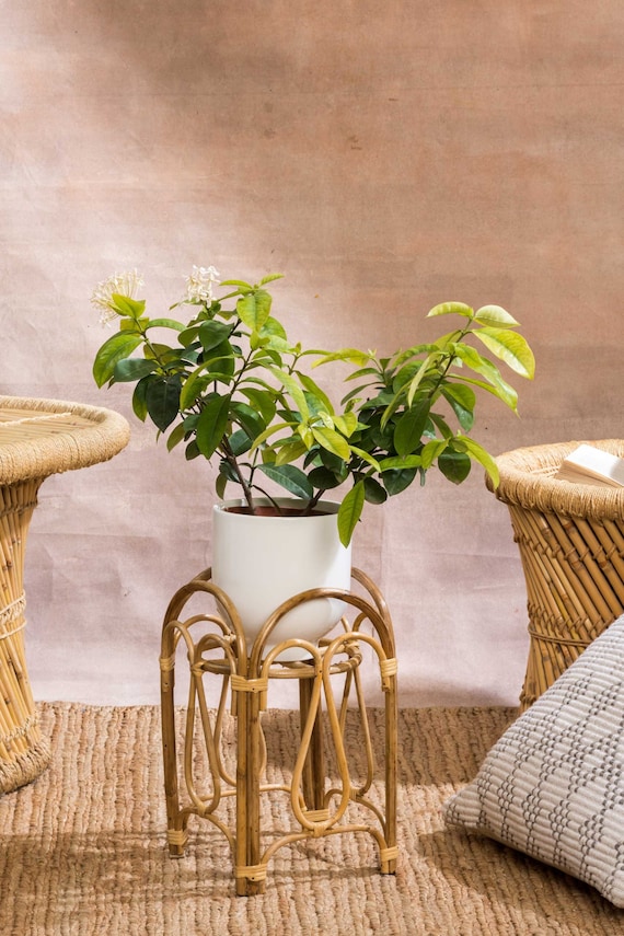 Low plant stand deals table