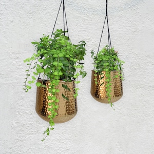 New Design Hammered Hanging Planters with Golden Finish / Contemporary Indoor Hanging Plant Pots / Modern Planters / Available in 2 Sizes
