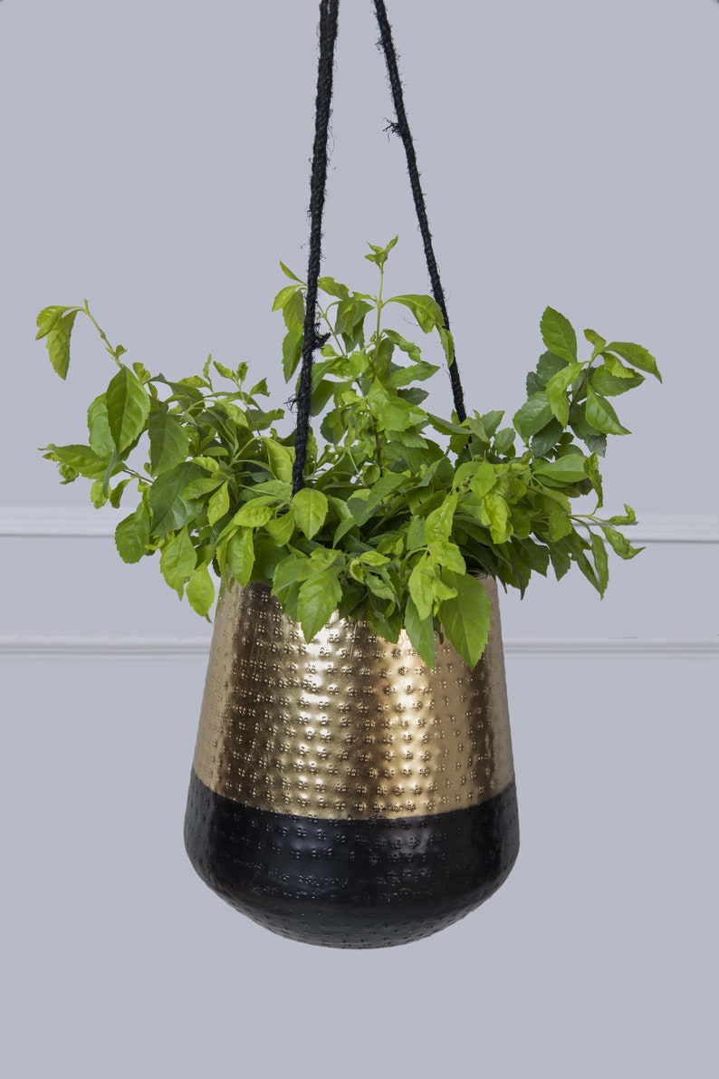 2 Tone Hanging Plant Pot Elegant Black and Gold Indoor Plant Etsy