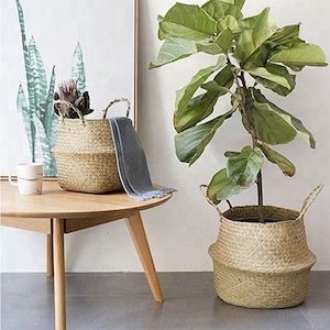 Seagrass Belly basket for Shelves with Handle / Sustainable Multi purpose home decor / Basket for Storage or Planters / 3 Sizes Available