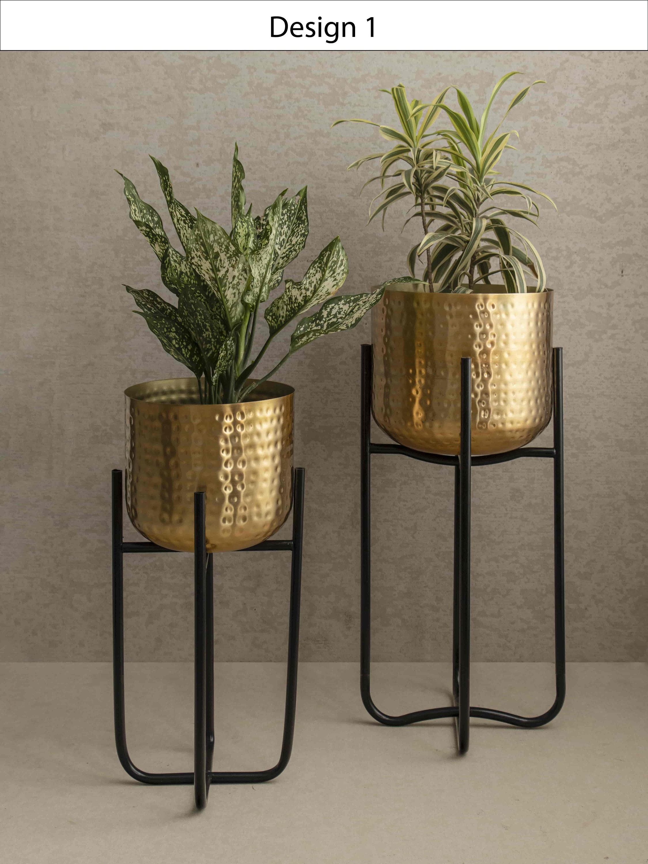 Cheap plant clearance table