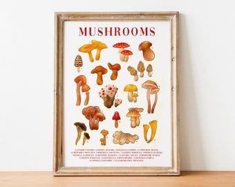 Mushrooms Illustration Print | Woodland Mushrooms Poster | Wall Art | Home Decor | Fungi Poster | Botanical Print | Kitchen Decor