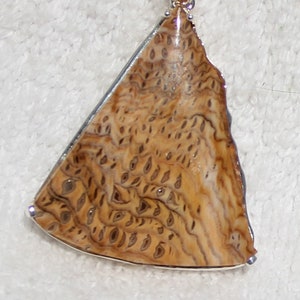 HELL&#39;S CANYON PENDANT * Custom Solid .925 Sterling Silver Setting * Rare Petrified Wood Cabochon w/ Natural Edge