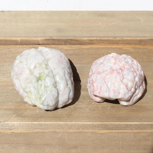 CARVED HUMAN BRAIN Stone, Anatomical Rock, Surgery, md, rn, Hospital, Neuro