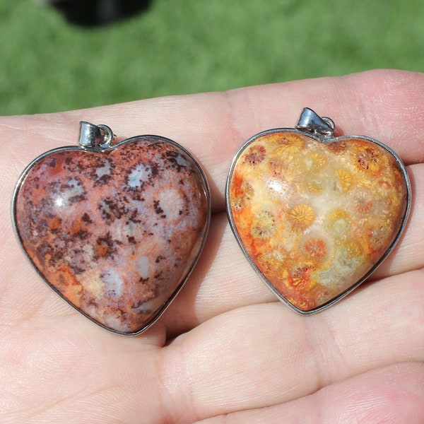 FOSSIL CORAL HEART Pendant w/ Silver-Toned Frame Setting * Agatized, Gemstone, Stone, Rock, Gem, Agate