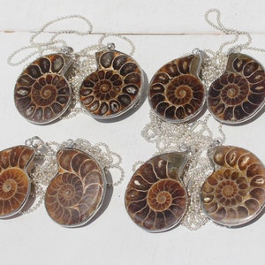 2 Lot: AMMONITE FOSSIL PENDANTS * Silver Framed Nautilus Necklaces w/ Adjustable Chains