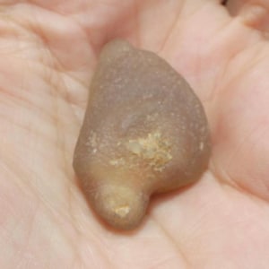 May include: A small, smooth, translucent brown stone with an irregular, rounded shape and a slightly textured surface. The stone features subtle variations in color, ranging from light tan to a deeper, muted brown, with a small, lighter-colored inclusion.