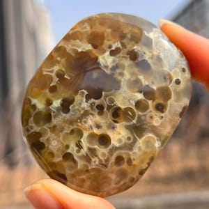 May include: A polished, rounded stone featuring a translucent, light brown base with numerous dark brown, circular orb-like inclusions. The surface is smooth and glossy, displaying a complex pattern of varying brown tones and light-colored rings.