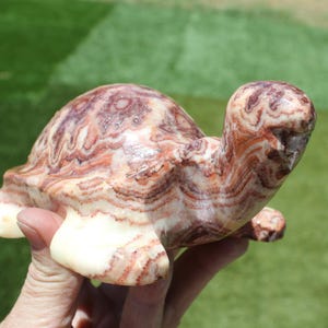 May include: A carved stone turtle figurine with a patterned shell in shades of cream, brown, and red. The turtle's head and legs are visible, and the figurine is held in a hand against a blurred green background. The turtle is a decorative item.