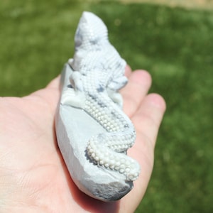 YINYANG TAIJI JADE Lizard * Natural White Stone, Rock, Yin Yang