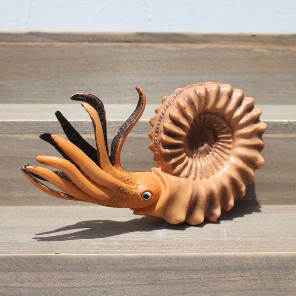 6" WHOLE AMMONITE FIGURE - Lifesize Resin Figurine of an Extinct Sea Animal Fossil Replica