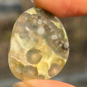 Translucent OCEAN JASPER FOCAL Bead #7  Rock Orbs Cabochon Stone Jewelry Orbicular