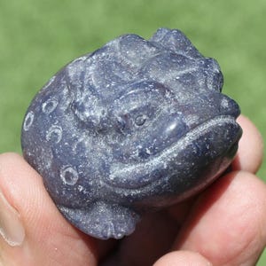 May include: A detailed, dark blue frog figurine carved from stone. The frog has a textured surface with visible details of its eyes, mouth, and skin. The figurine is held in a hand, with a blurred green background.