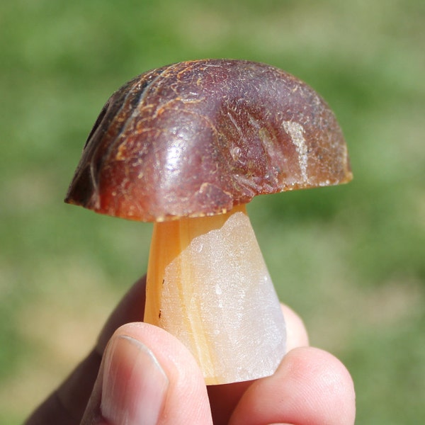 Individually Hand-Carved AGATE MUSHROOM FIGURES * Polished Tops w/ Matte' Stems, Translucent Stones, Banded Rock * 4 Wild Choices *