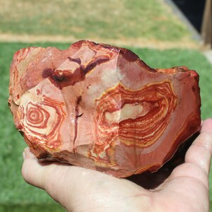 May include: A large, irregularly shaped piece of red, white, and orange banded rock with swirling patterns. The rock is being held in a person's hand.