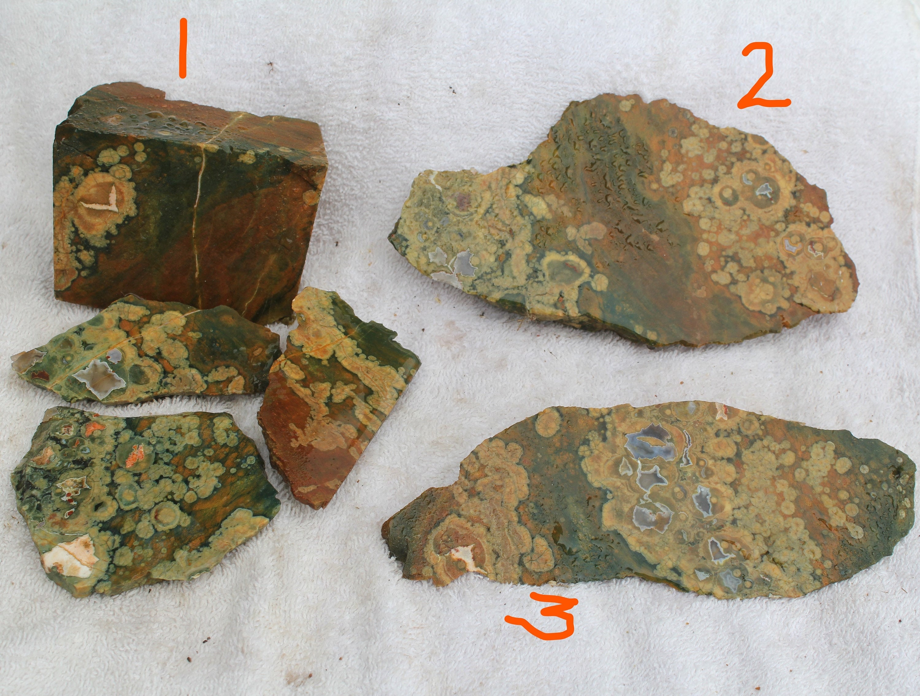 RAINFOREST JASPER ROUGH Rock * Stone Patterns + Flowers, Cabs, Slab ...