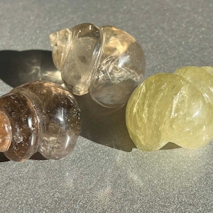 CITRINE SEA SHELL: Yellow, Smoky, Clear Crystal Carving