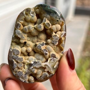 2 Lot: Large OCEAN JASPER PALMSTONES w/ Botryoidal, Orbs + Flowers #109+110