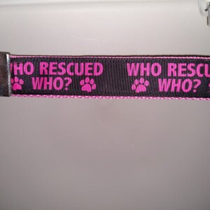 who rescued who