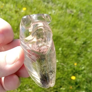 Lodalite Clear Quartz Carved Cicada,  Garden Quartz, Clarity, Transformation, Spiritual Journey, Harmonizing Consciousness, Cosmic Shifts